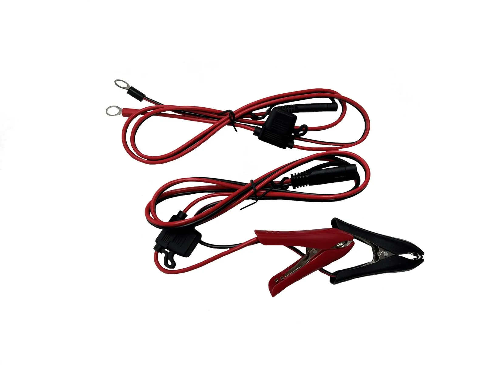 24V LifePO 10A Charger