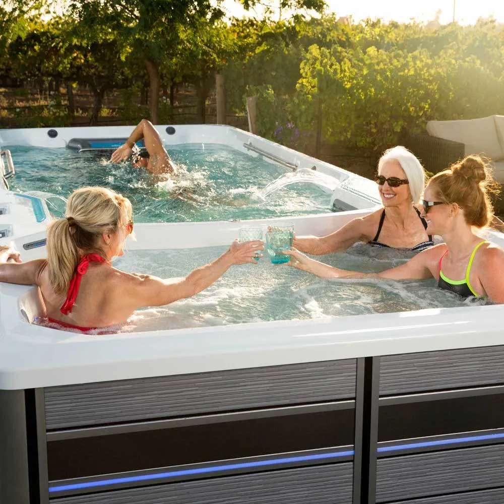 Endless Pools® Fitness Systems E2000
