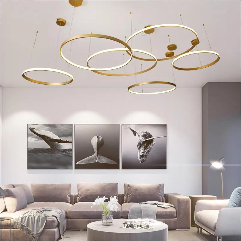 Modern LED Round Ring Chandelier DIY 3/4/5/6 Rings Suspend Light 40/60/80/100/120cm  Acrylic Circle Hang Light Chandelier Lamp