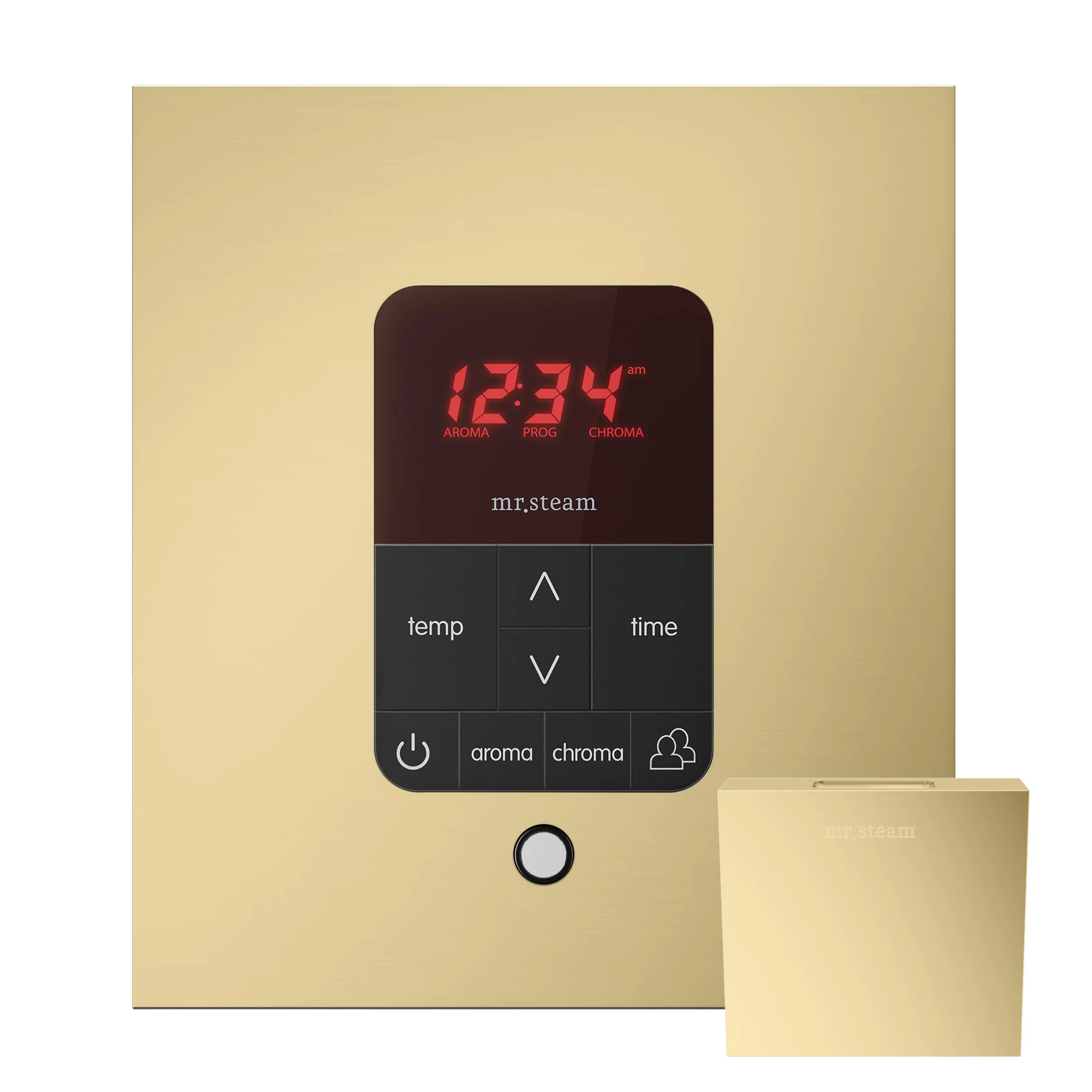 Mr. Steam iTempoPlus® Square Steam Shower Control