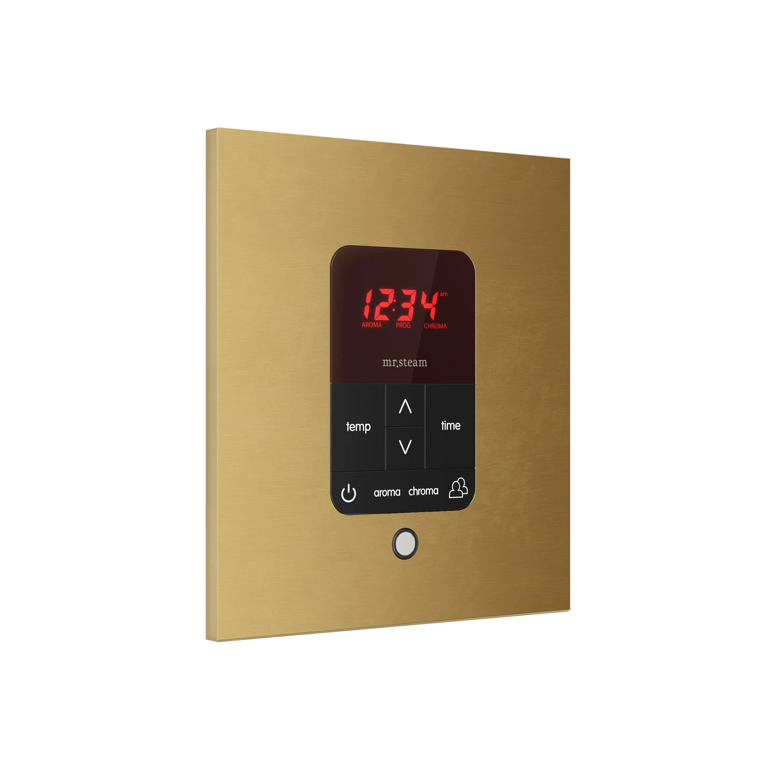 Mr. Steam iTempoPlus® Square Steam Shower Control
