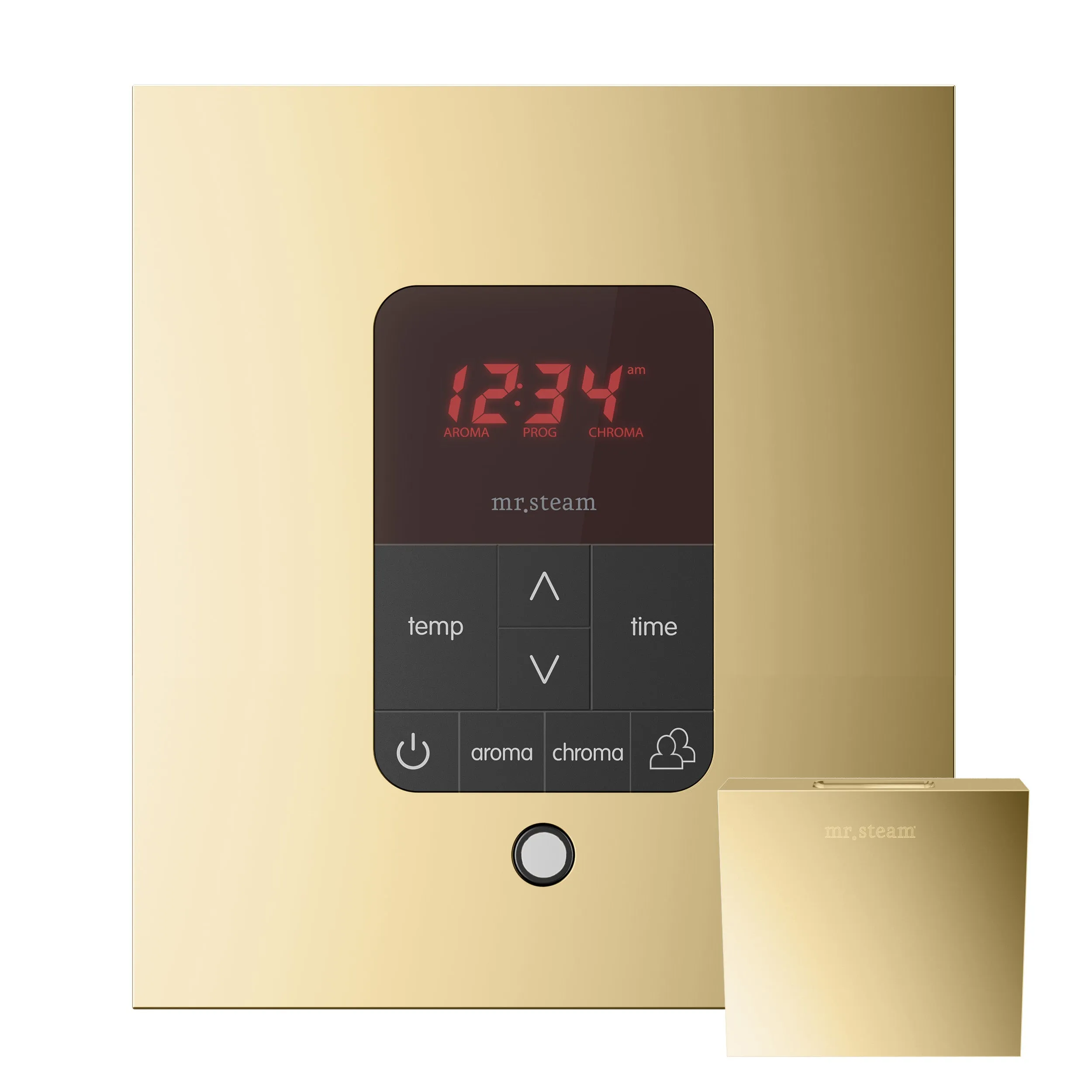 Mr. Steam iTempoPlus® Square Steam Shower Control
