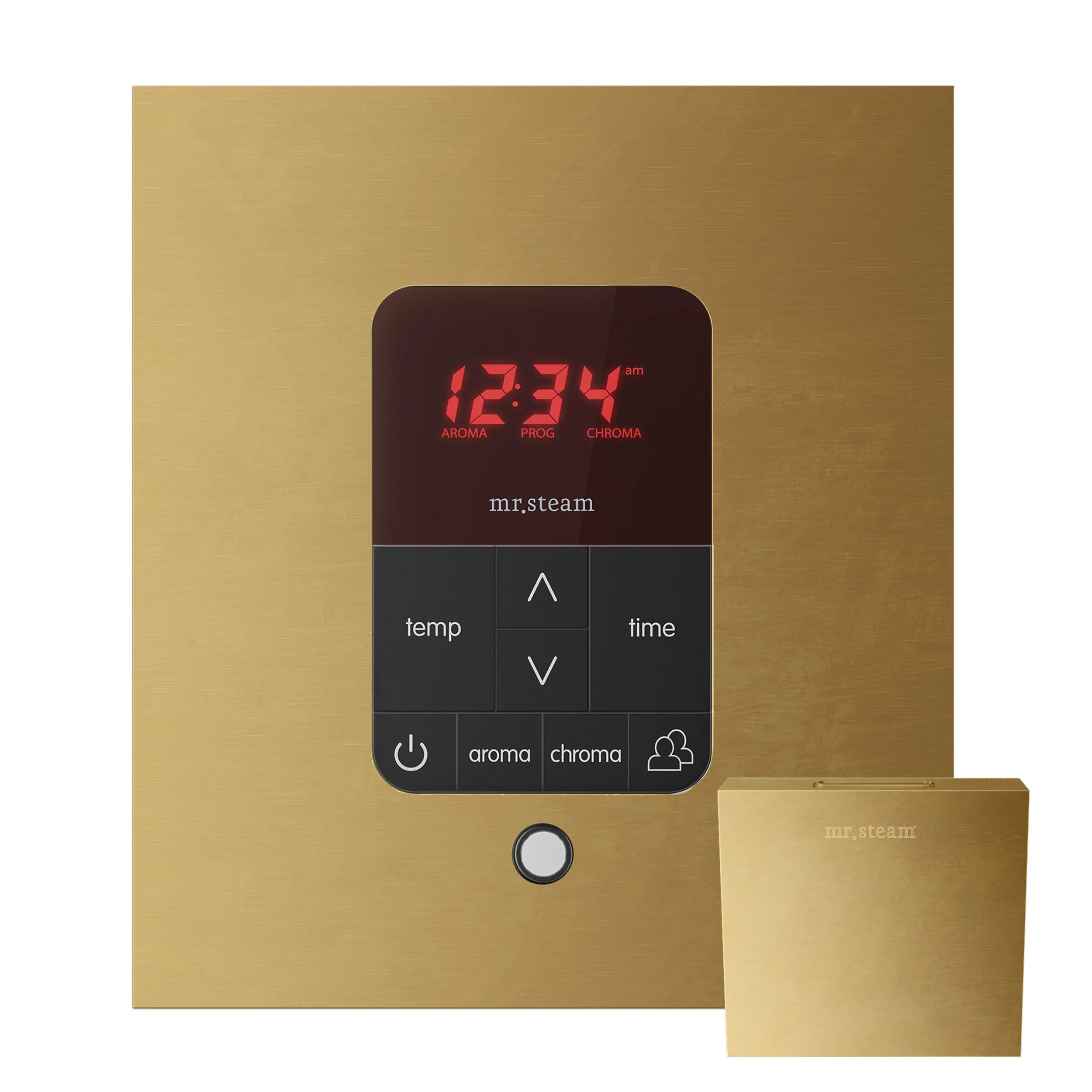 Mr. Steam iTempoPlus® Square Steam Shower Control