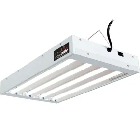 T5 2Ft 4 Tube Fixture w/Bulbs