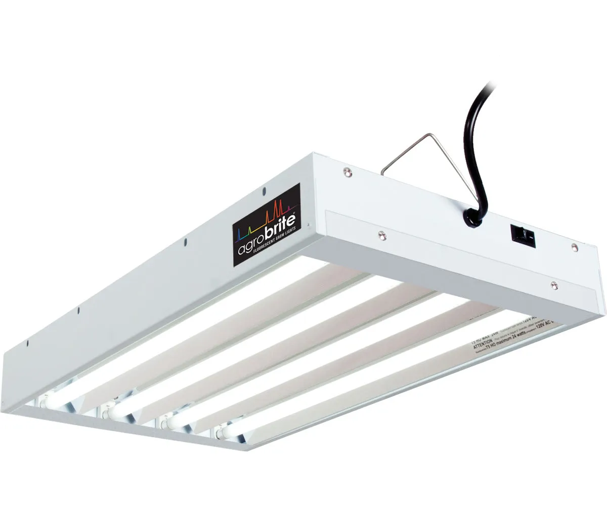 T5 2Ft 4 Tube Fixture w/Bulbs