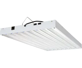 T5 4Ft 8 Tube 240V Fixture w/Bulbs